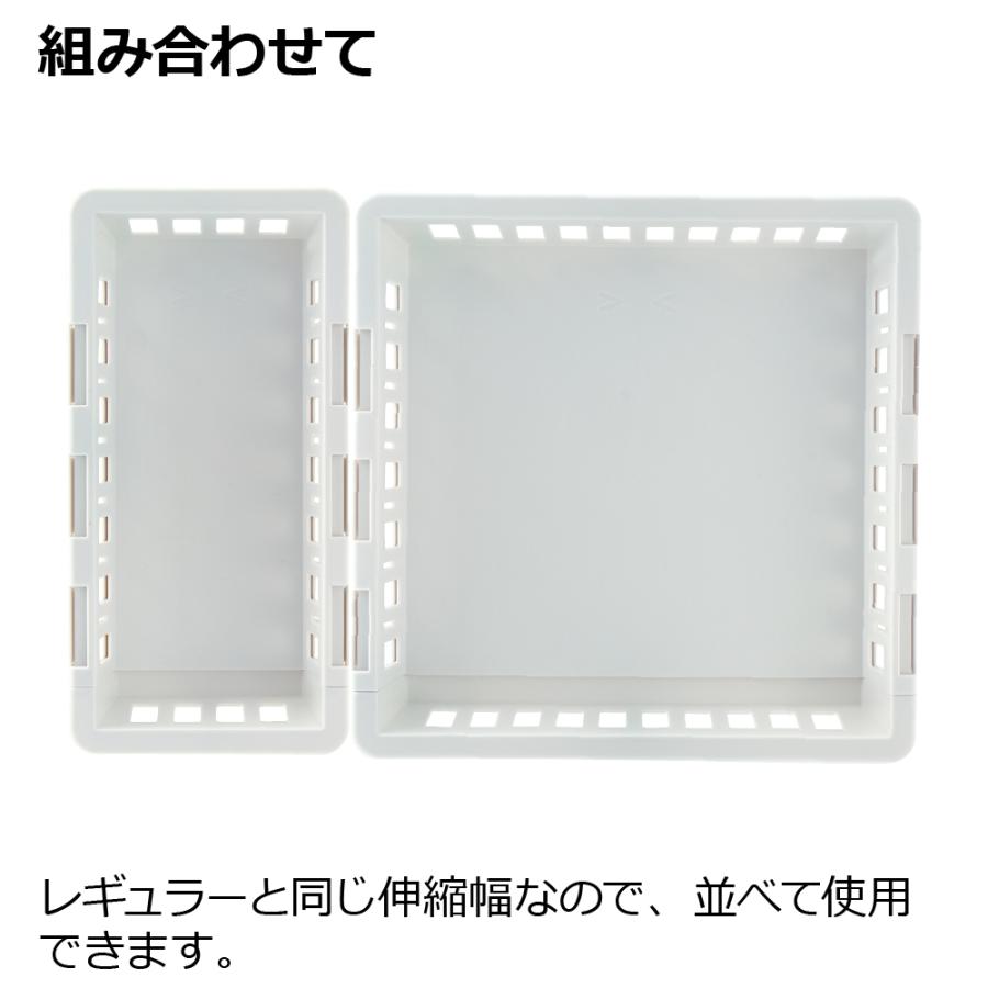 キッチン 収納 トトノ 野菜・冷凍室用 伸縮ストッカー浅型 スリム リッチェル キッチン収納ケース 野菜収納ケース | リッチェル | 08