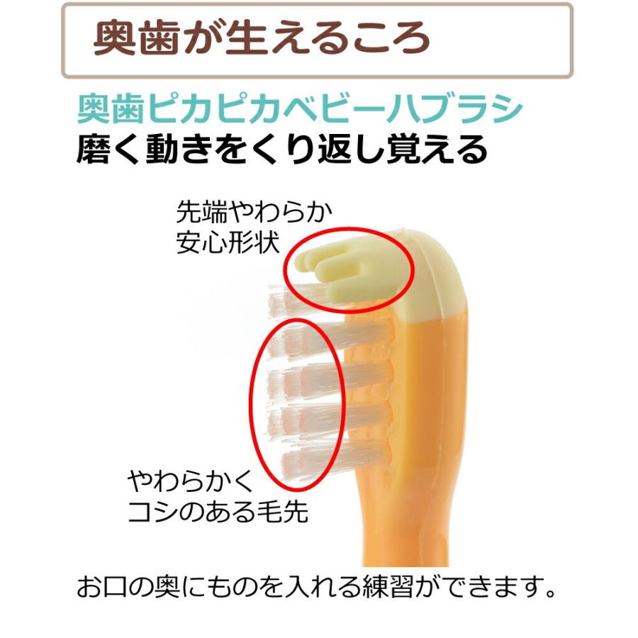 ベビー歯ブラシ トライ 奥歯ピカピカベビーハブラシ 2本入 リッチェル 乳歯 歯みがき 練習 トレーニング 赤ちゃん | リッチェル | 03