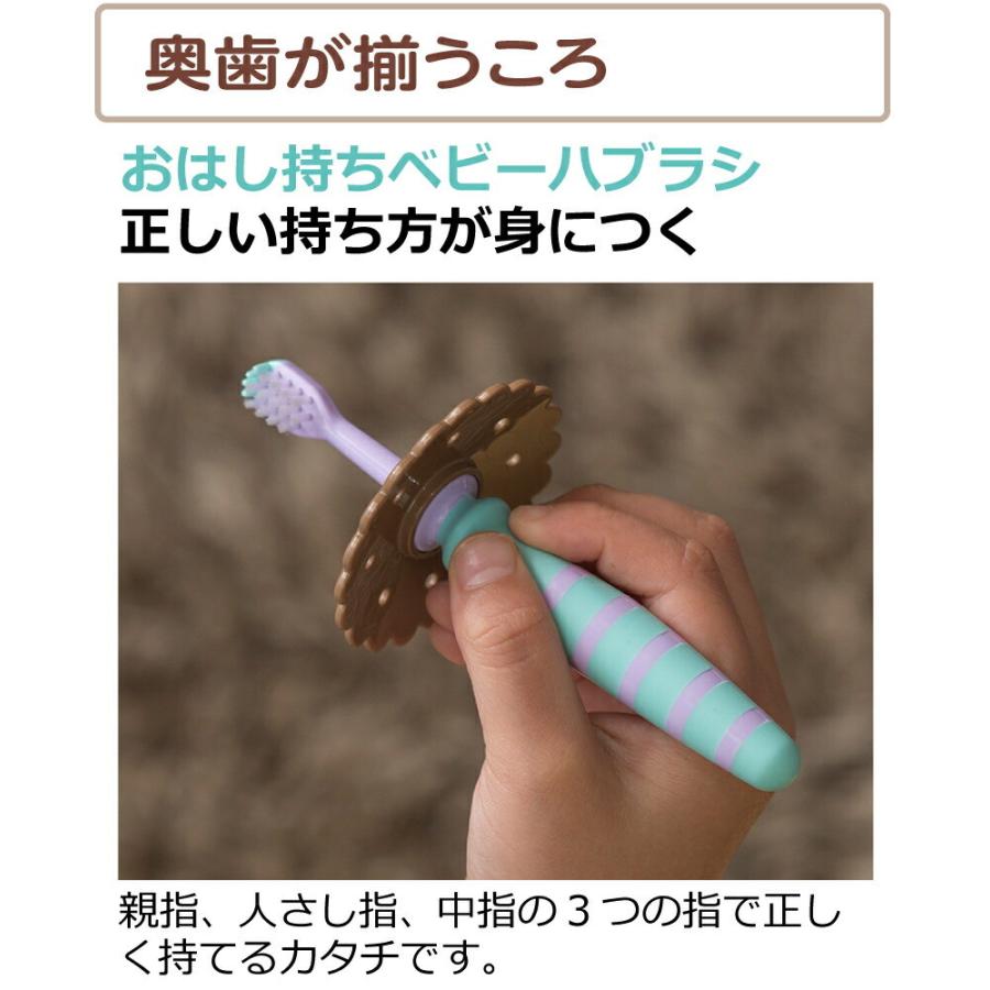 ベビー歯ブラシ トライ おはし持ちベビーハブラシ 2本入 リッチェル 乳歯 歯みがき 練習 トレーニング 赤ちゃん | リッチェル | 02
