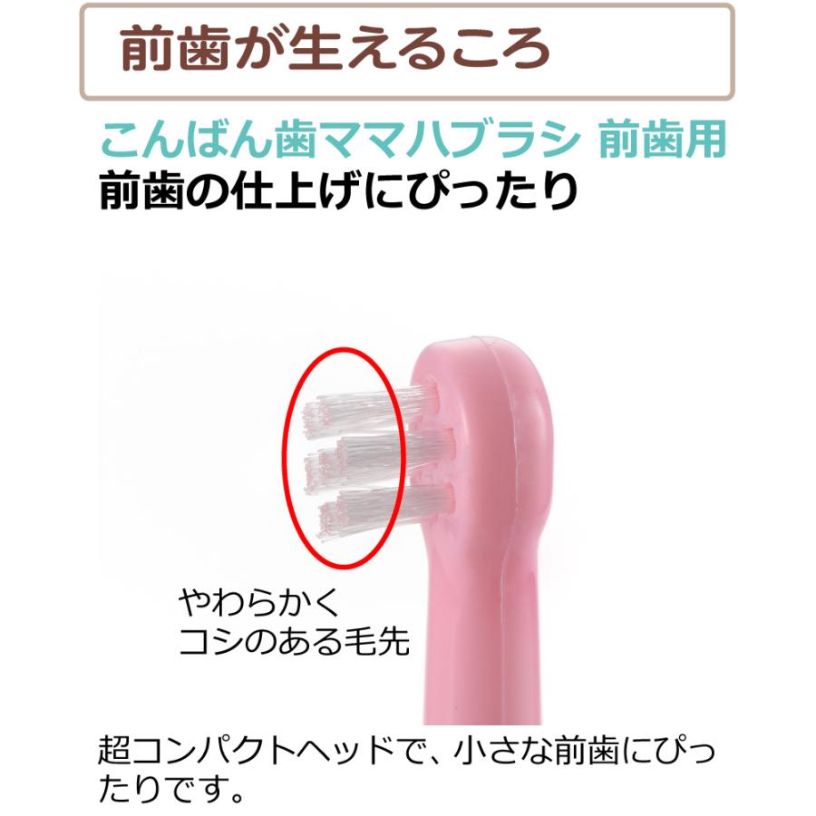 ベビー歯ブラシ トライ たべたら歯みがきセット 前歯用 リッチェル 乳歯 仕上げ 歯みがき 練習 トレーニング 赤ちゃん | リッチェル | 09