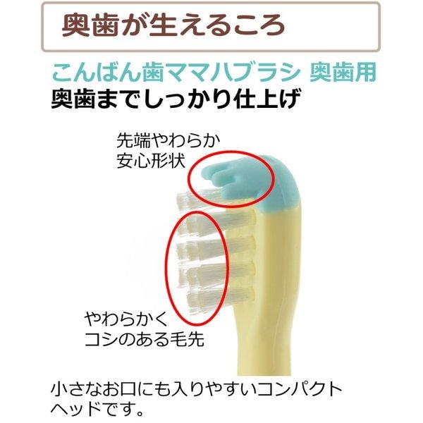 ベビー歯ブラシ トライ たべたら歯みがきセット 奥歯用 リッチェル 乳歯 仕上げ 歯みがき 練習 トレーニング 赤ちゃん | リッチェル | 10