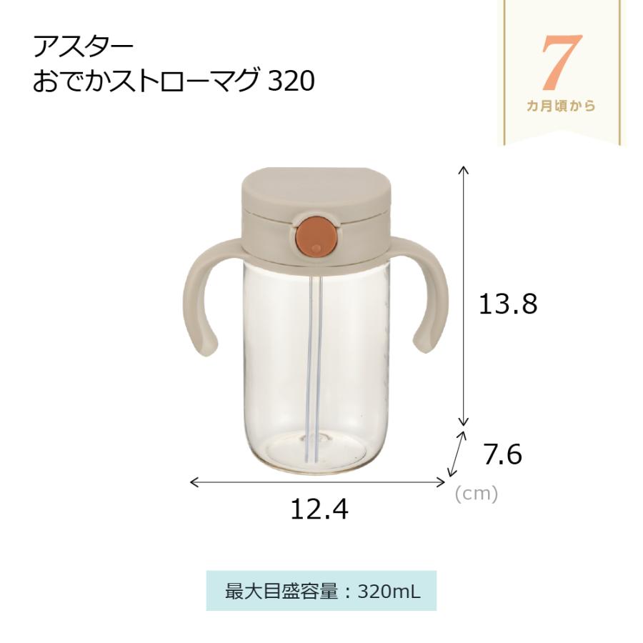 【配送区分K1】アスター おでかけストローマグ 320 リッチェル ベビー 水筒 練習 トレーニング 赤ちゃん ギフト 出産祝い | リッチェル | 17