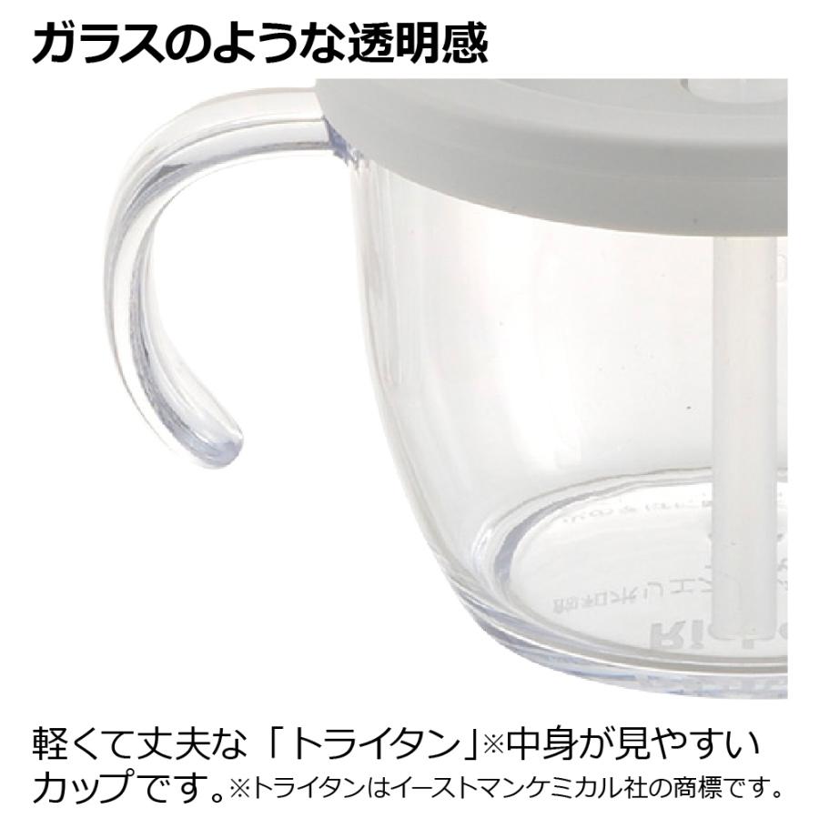 リッチェル ストローマグ アスター おうちおでかけスタート リッチェル ストローマグ アスター おうちおでかけスタート