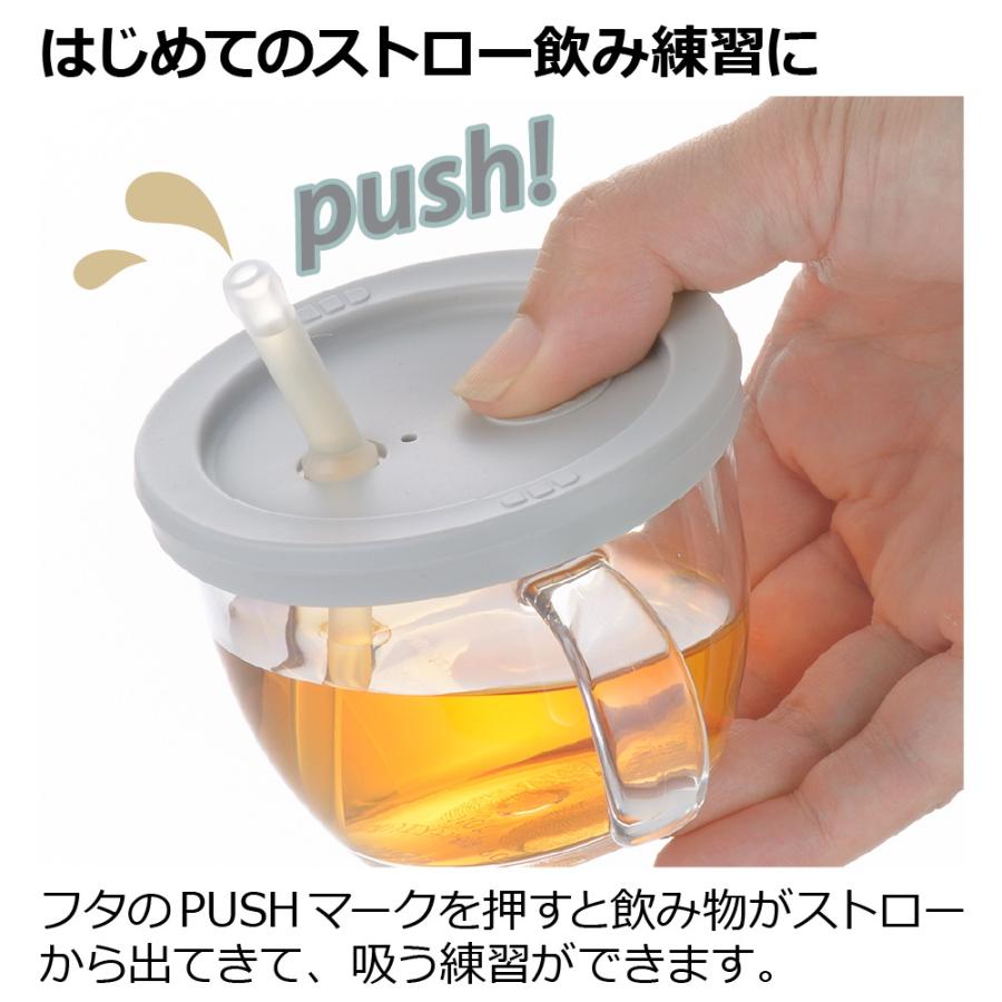 リッチェル ストローマグ アスター おうちおでかけスタート リッチェル ストローマグ アスター おうちおでかけスタート