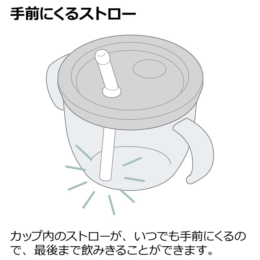 リッチェル ストローマグ アスター おうちおでかけスタート リッチェル ストローマグ アスター おうちおでかけスタート