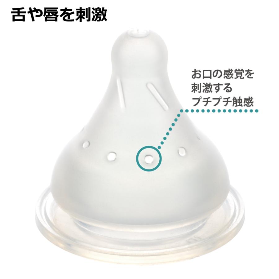 哺乳瓶 はなえみ ガラス哺乳びん 240mL リッチェル 哺乳びん ベビー 赤ちゃん ギフト 出産祝い | リッチェル | 06