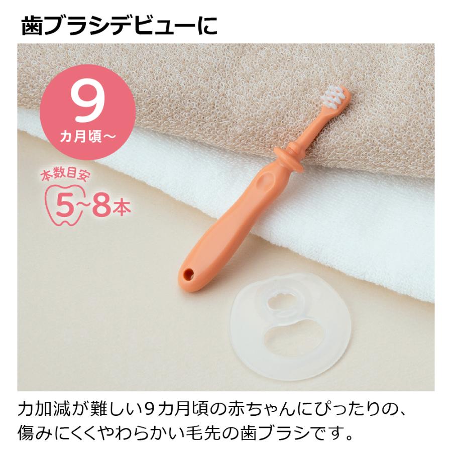 トライ つよもち乳歯ブラシSTEP2 赤ちゃん ベビー 子供 はじめて のど突き防止 シリコン やわらか 練習 歯固め 習慣 安全 リッチェル公式ショップ Richell | リッチェル | 03