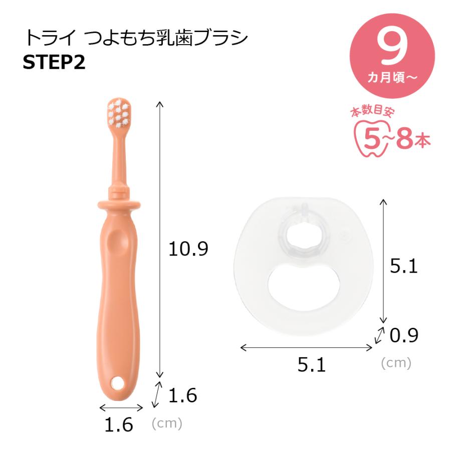 トライ つよもち乳歯ブラシSTEP2 赤ちゃん ベビー 子供 はじめて のど突き防止 シリコン やわらか 練習 歯固め 習慣 安全 リッチェル公式ショップ Richell | リッチェル | 08