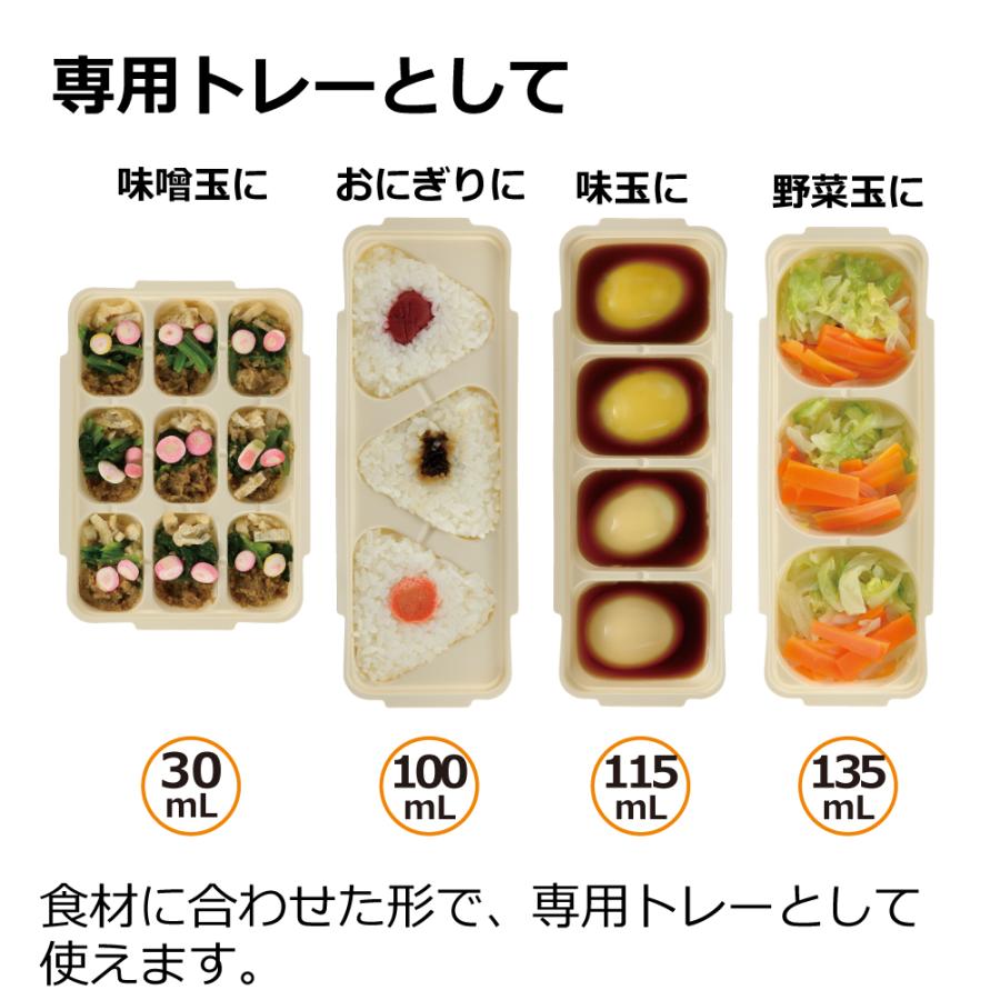 保存容器 離乳食 つくりおき わけわけフリージング パック 15 2セット入 リッチェル 冷凍 収納 小分け 電子レンジ | リッチェル | 08