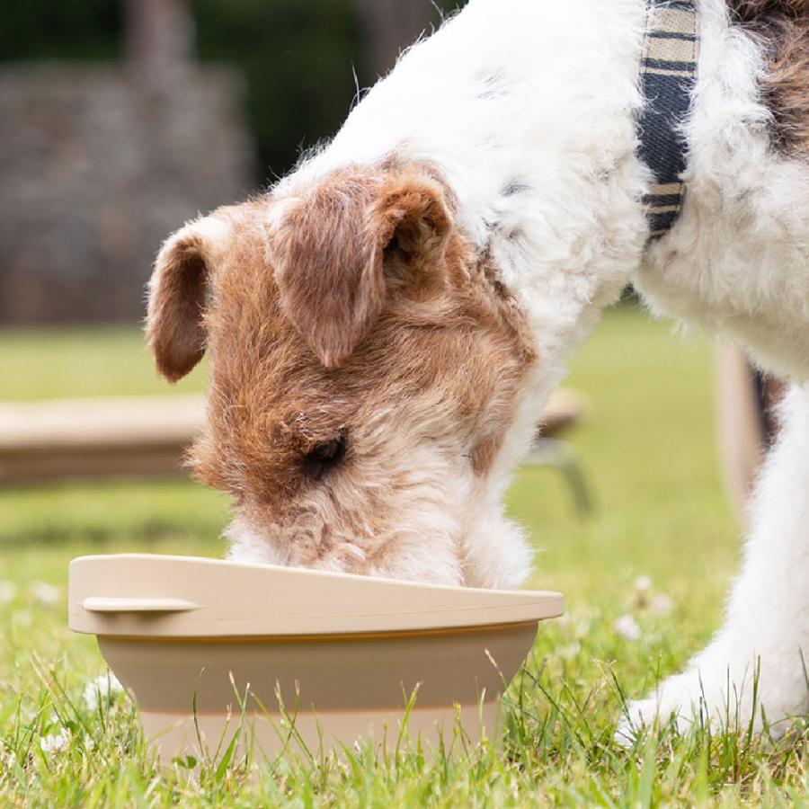 マークタス ポータブル ディッシュ L 食器 餌 入れ 皿 ペット ドッグ 用品 中 大 型犬 おしゃれ アウトドア リッチェル |  | 05