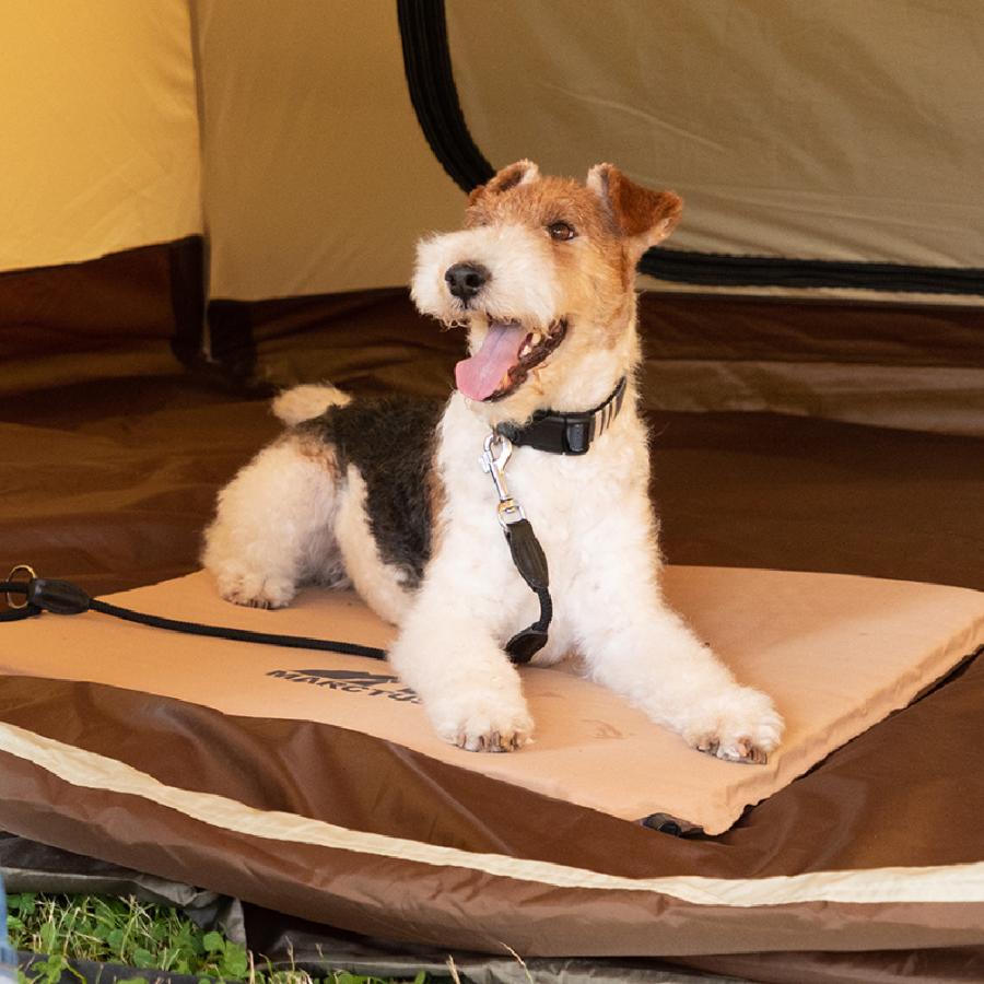 マークタス インフレーター マット 70-70 ペット マット シート ドッグ 犬 キャンプ 外 アウトドア グッズ リッチェル Richell 公式 | リッチェル | 02