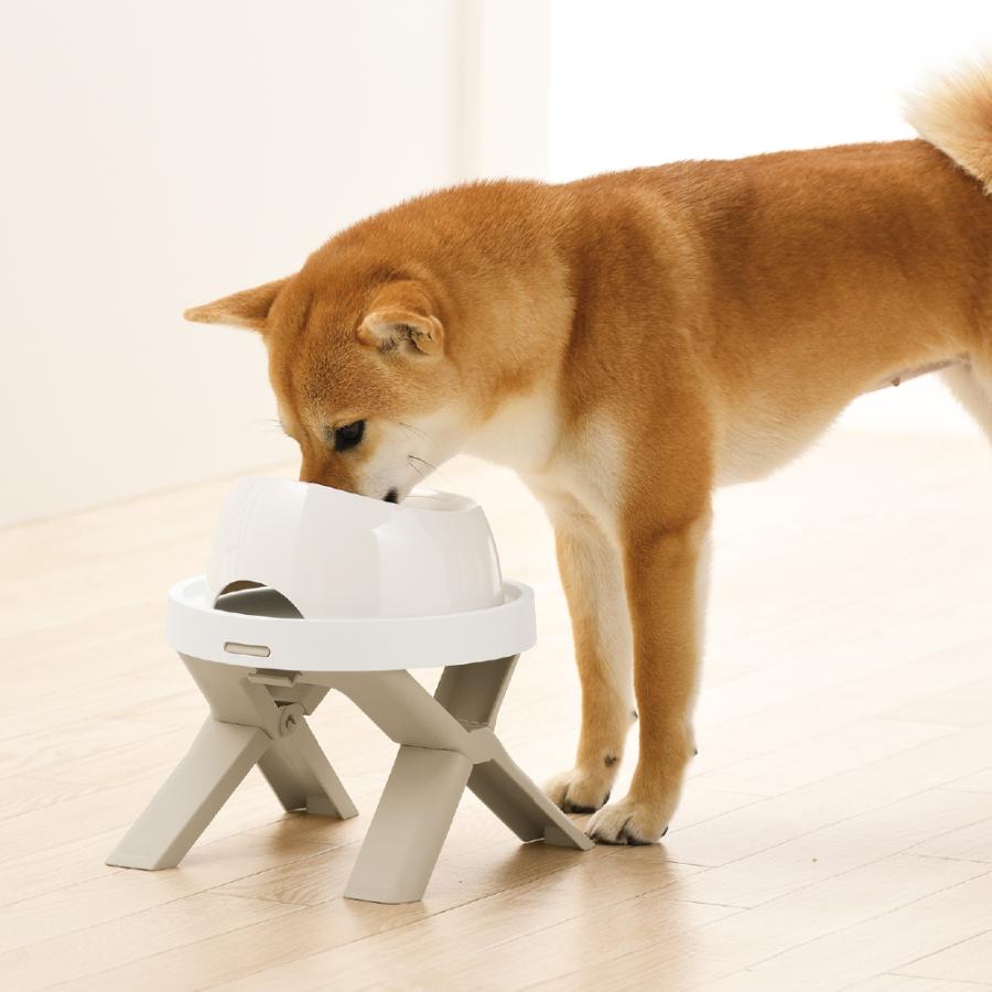 たためるペットテーブル シングル ペット テーブル ドッグ 犬 餌台 ペット 食器台 中型犬 エサ台 おしゃれ プラスチック リッチェル Richell 公式 | リッチェル | 03