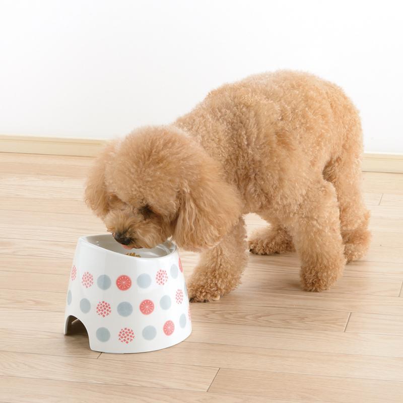 ワンちゃんの高さがある食器 S リッチェル Richell 公式ショップ | リッチェル | 03