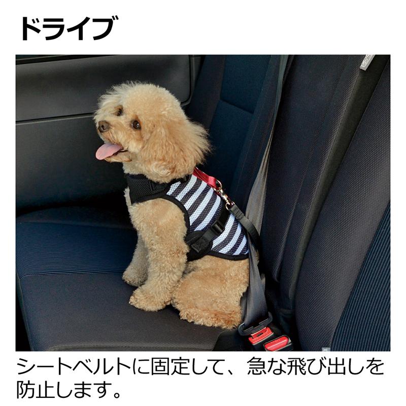おでかけベストハーネス L 犬 ハーネス 中型犬 防災グッズ ペット ドライブ リッチェル Richell 公式 | リッチェル | 04