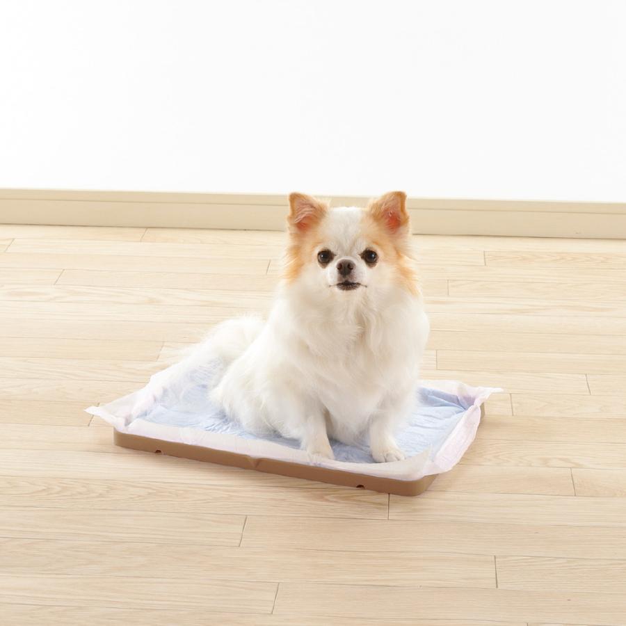 Nおでかけシーツトレー レギュラー ペット用トイレ 犬用トイレ 犬トイレ ドッグトイレ マット 小さめ リッチェル  公式ショップ | リッチェル | 06