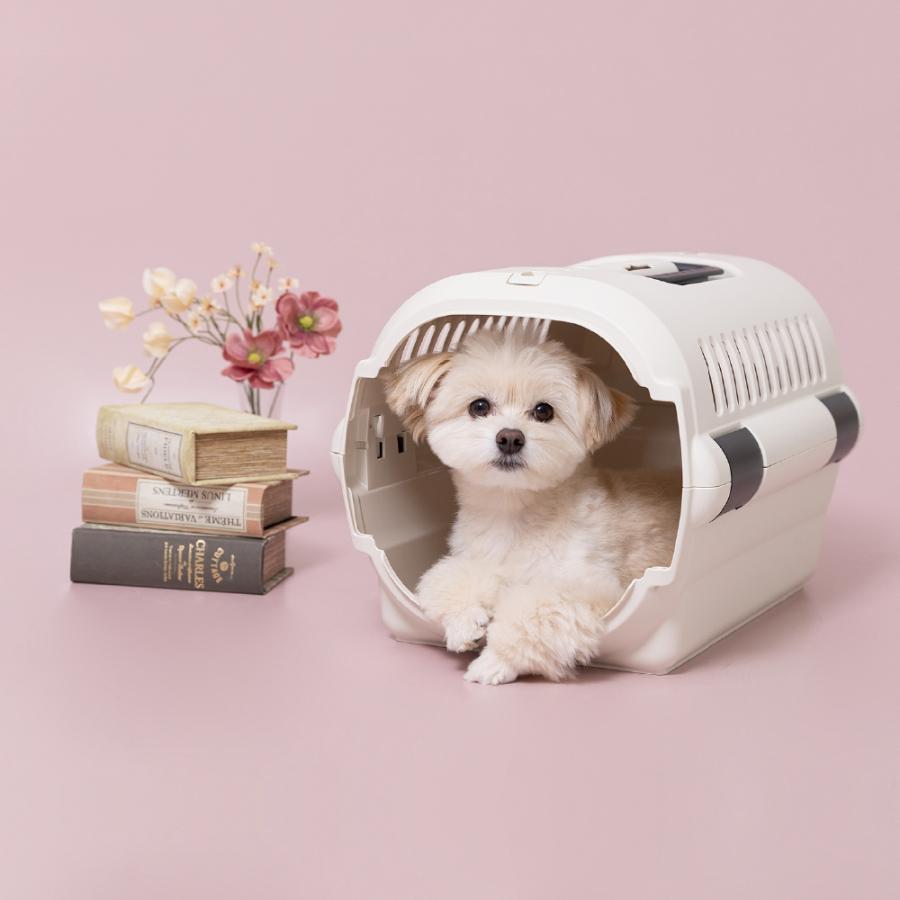キャンピングキャリーファインR S クレート キャリー 旅行 おでかけ 防災 ペット 犬 猫 超小型犬 小型犬 プラスチック 日本製 国産 リッチェル 公式 | リッチェル | 11