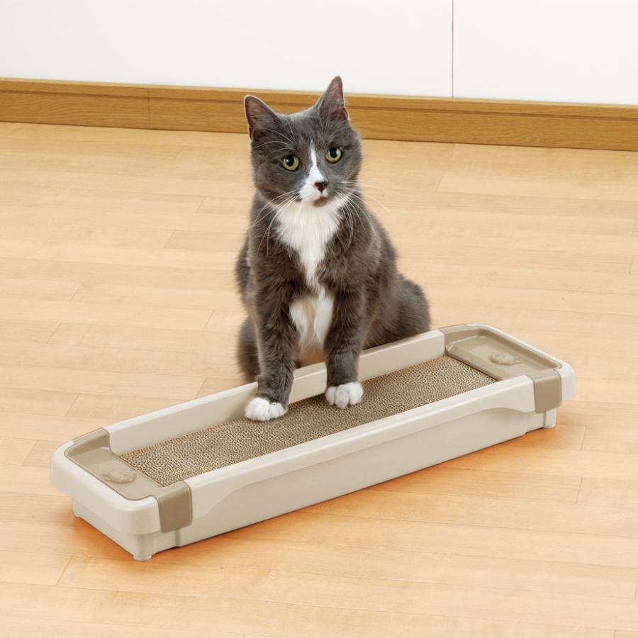 リッチェル（Richell） エコル 猫のツメみがき 猫 爪 つめ 研ぎ とぎ