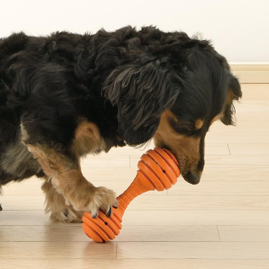 犬 おもちゃ グルー ベンド S リッチェル 知育 玩具 ペット 用品 小型犬  おやつ  フード 噛む トイ | リッチェル | 03