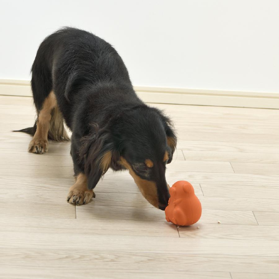 グルー グルちゃん SS エサ入れ 知育 玩具 ペット 犬 ドッグ 用品 おやつ フード 噛む トイ 合成ゴム リッチェル Richell 公式 | リッチェル | 03