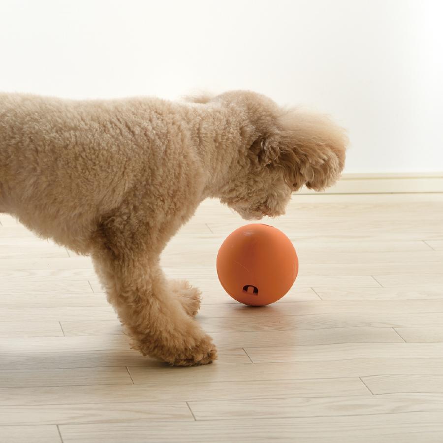 グルー ローリーポーリー エサ入れ 知育 玩具 ペット 犬 ドッグ 用品 おやつ フード トイ 合成ゴム リッチェル Richell 公式 | リッチェル | 03