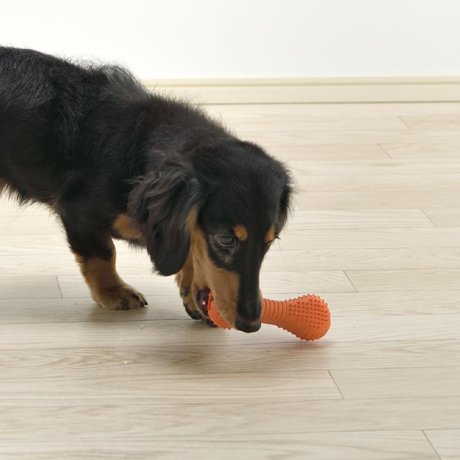 犬 おもちゃ グルー ブラッシュ SS リッチェル 知育 玩具 ペット 用品 小型犬  おやつ  フード 噛む トイ | リッチェル | 03