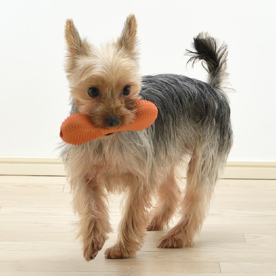 犬 知育玩具 グルー ブラッシュ S 噛む おもちゃ 早食い防止 ペット 用品 おやつ フード リッチェル 公式 | リッチェル | 03