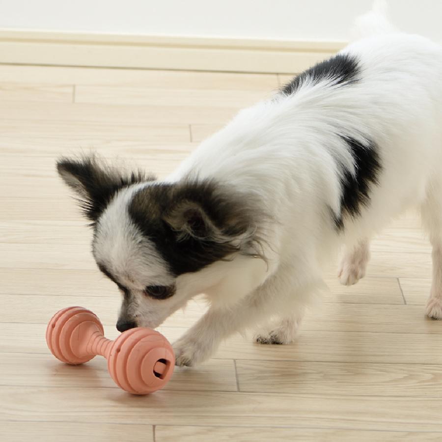 グルー ベンド パピー用 SS エサ入れ 知育 玩具 ペット 犬 ドッグ 用品 おやつ フード トイ 合成ゴム リッチェル Richell 公式 | リッチェル | 03