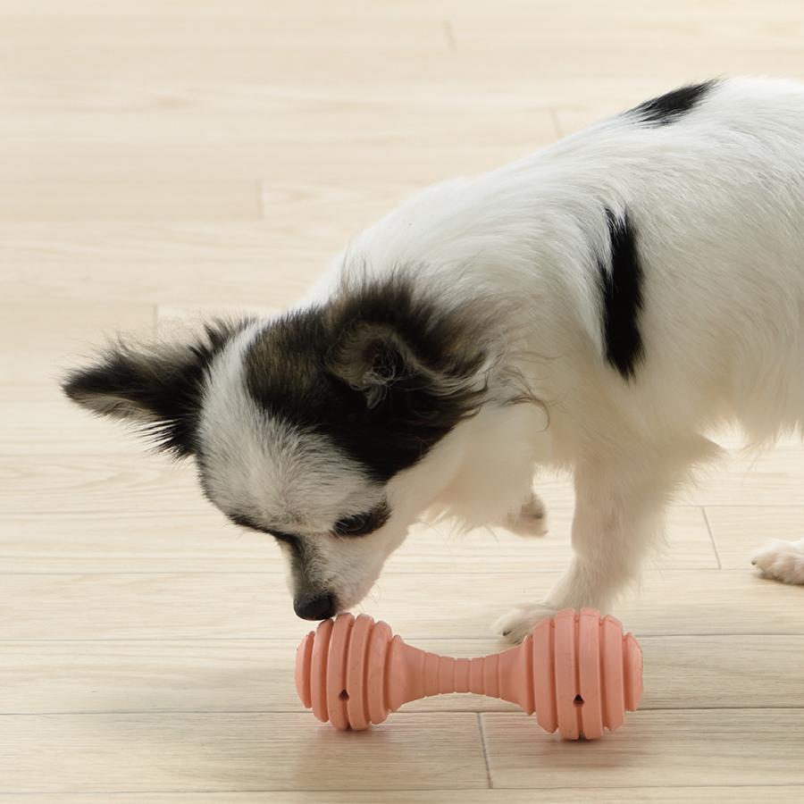 犬 おもちゃ グルー ベンド パピー用 S リッチェル 知育 玩具 ペット 用品 小型  おやつ  フード 噛む トイ | リッチェル | 03
