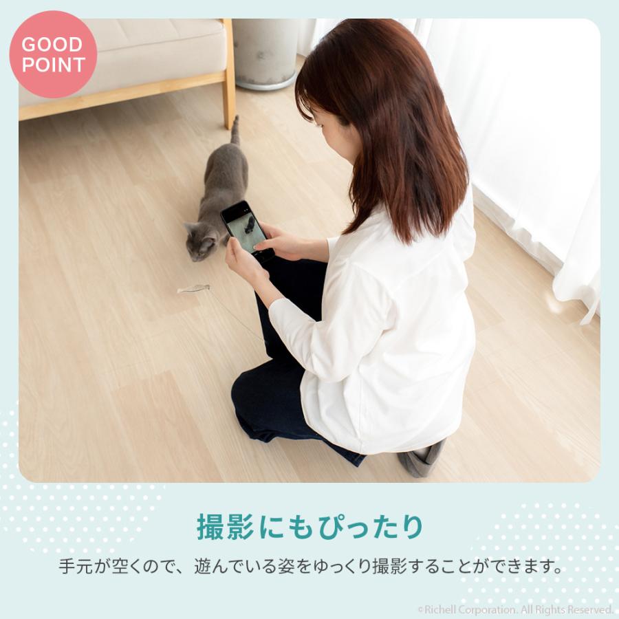 【配送区分R1】ニャーオ ぶらりん足じゃらし 猫用 ネコ おもちゃ 猫じゃらし  リッチェル 公式 | リッチェル | 09