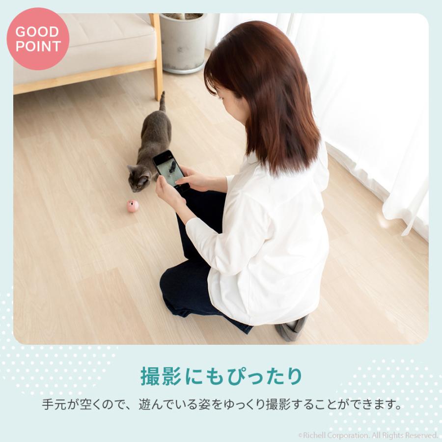 【配送区分R1】ニャーオ ごほうびボール 猫用 ネコ おもちゃ キャットボール おやつボール リッチェル 公式 | リッチェル | 13