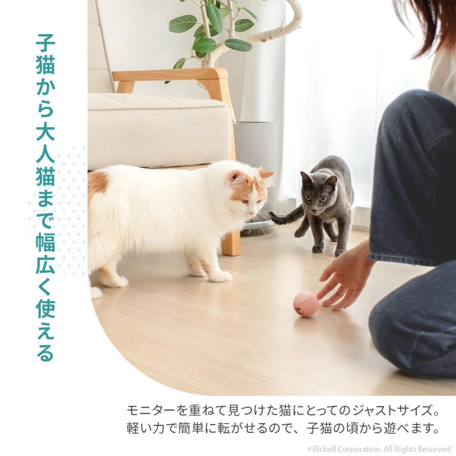 【配送区分R1】ニャーオ ごほうびボール 猫用 ネコ おもちゃ キャットボール おやつボール リッチェル 公式 | リッチェル | 10