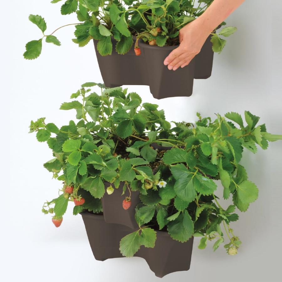 園芸 ポット ハーベリーポット 43型N ガーデ ン ニング 植木 鉢 果樹 プランター イチゴ 栽培  リッチェル | リッチェル | 02