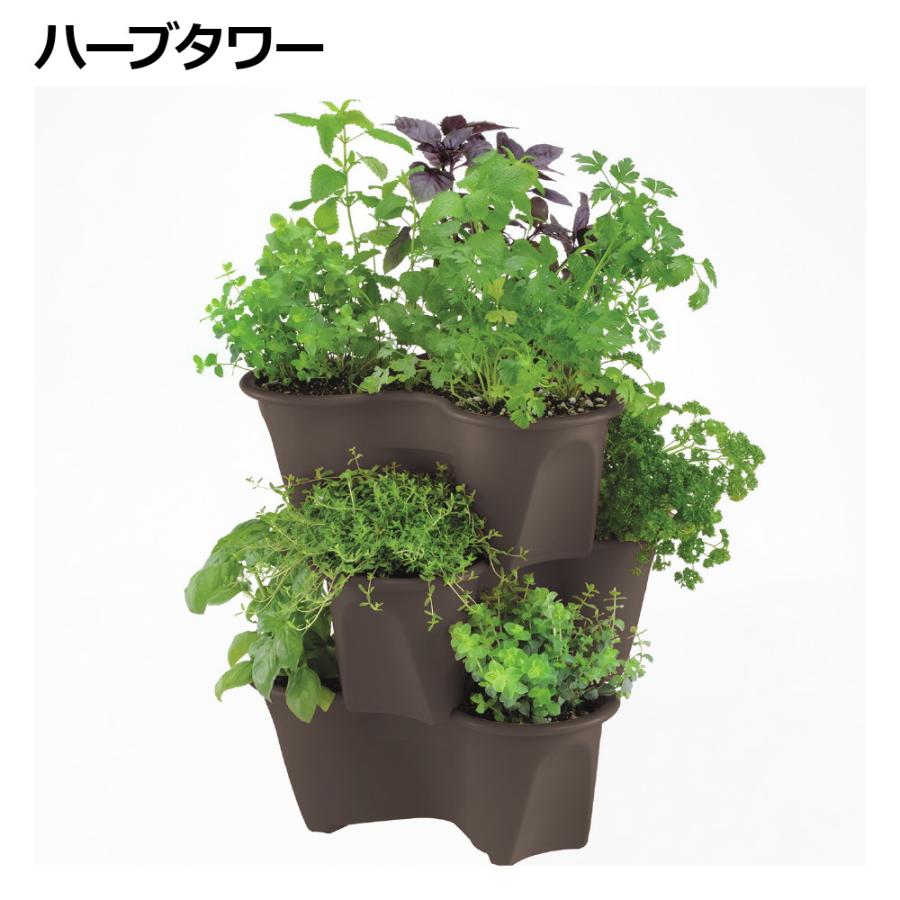 園芸 ポット ハーベリーポット 43型N ガーデ ン ニング 植木 鉢 果樹 プランター イチゴ 栽培  リッチェル | リッチェル | 04