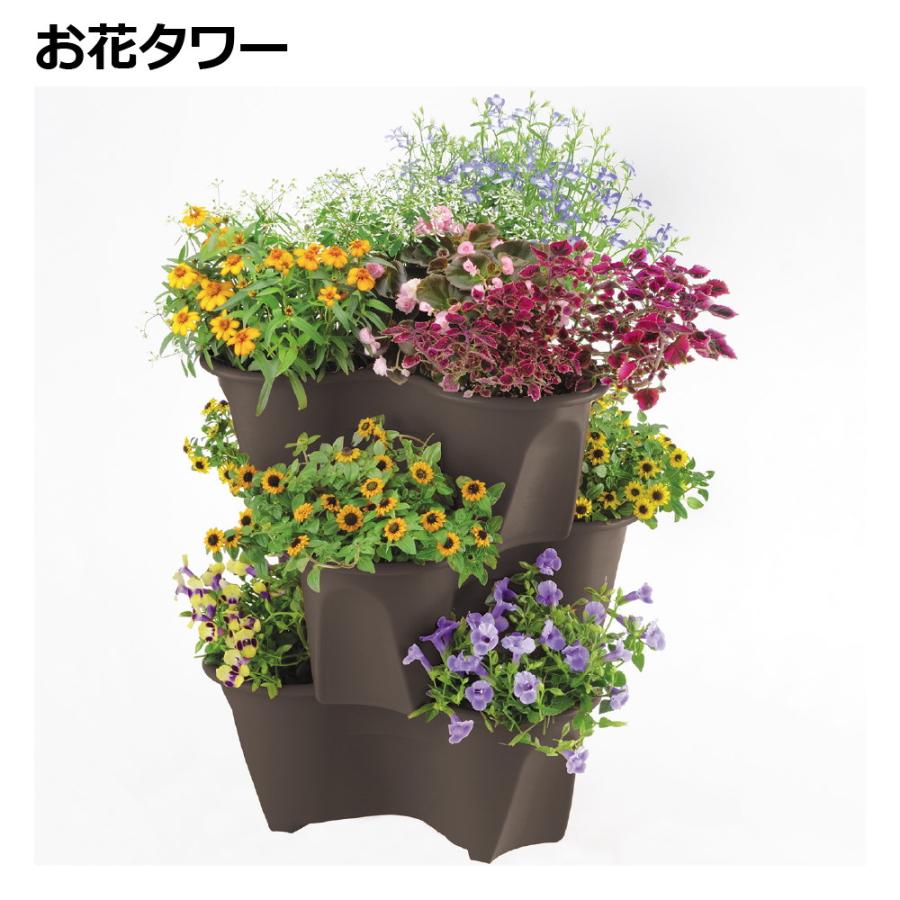 園芸 ポット ハーベリーポット 43型N ガーデ ン ニング 植木 鉢 果樹 プランター イチゴ 栽培  リッチェル | リッチェル | 05