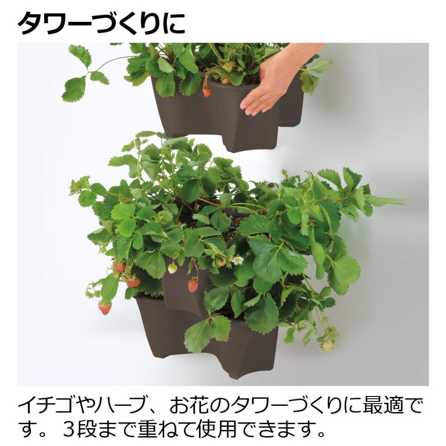 園芸 ポット ハーベリーポット 43型N ガーデ ン ニング 植木 鉢 果樹 プランター イチゴ 栽培  リッチェル | リッチェル | 06