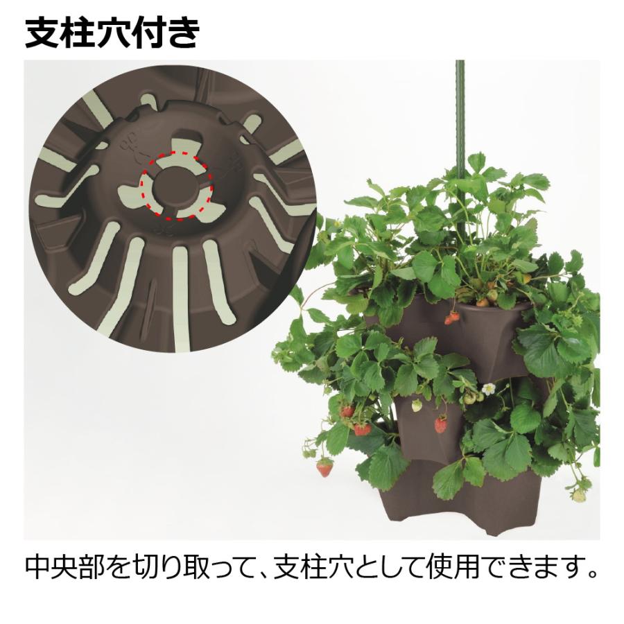 ハーベリーポット 52型N 園芸 ガーデン 植木 鉢 ハーブ鉢 果樹鉢 プランター ハーブ栽培 イチゴ栽培 花 スリット リッチェル  公式 | リッチェル | 09