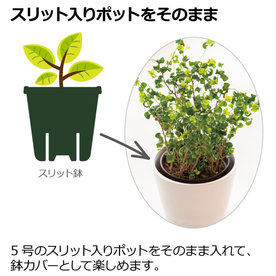 ボタニー ハイドポット 19型 植木 鉢 カバー ポット 園芸 ガーデニング 5号 丸い おしゃれ 小さい プラスチック リッチェル 公式 | リッチェル | 04