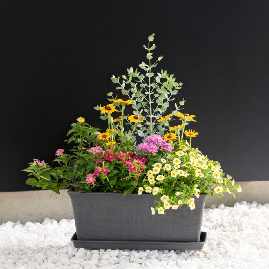 ⭐︎高級フランス⭐︎ パッショナータ カーキ レースの美しいランジェリー ⭐︎特別価格⭐︎高級フランス⭐︎パッショナータ 薄むらさきの