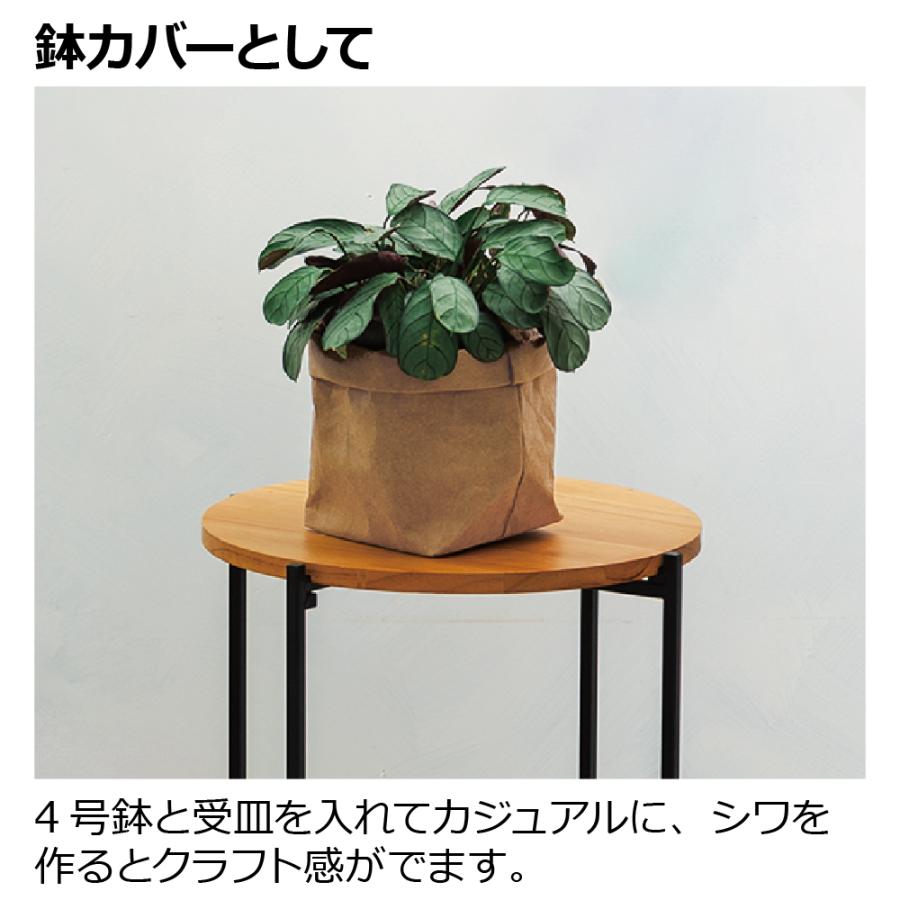 ペーパーポットカバー 4 園芸 鉢 カバー ガーデニング 収納 おしゃれ 育成ポット 室内 クラフト紙 リッチェル Richell 公式 | リッチェル | 10