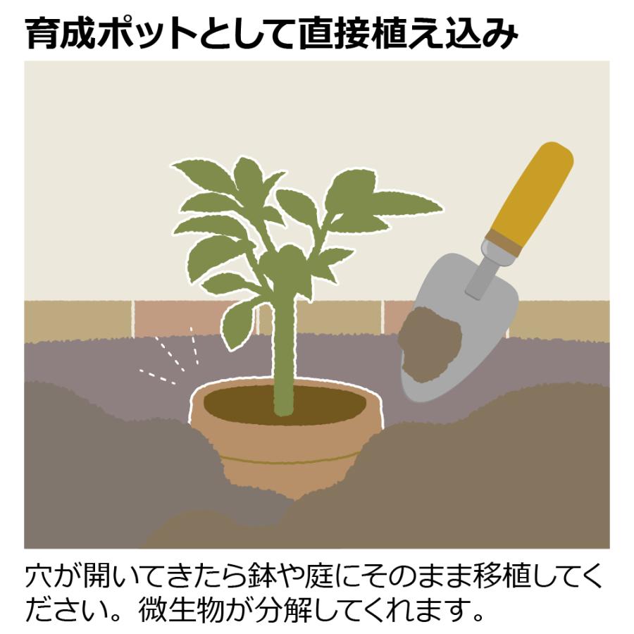 ペーパーポットカバー 4 園芸 鉢 カバー ガーデニング 収納 おしゃれ 育成ポット 室内 クラフト紙 リッチェル Richell 公式 | リッチェル | 12