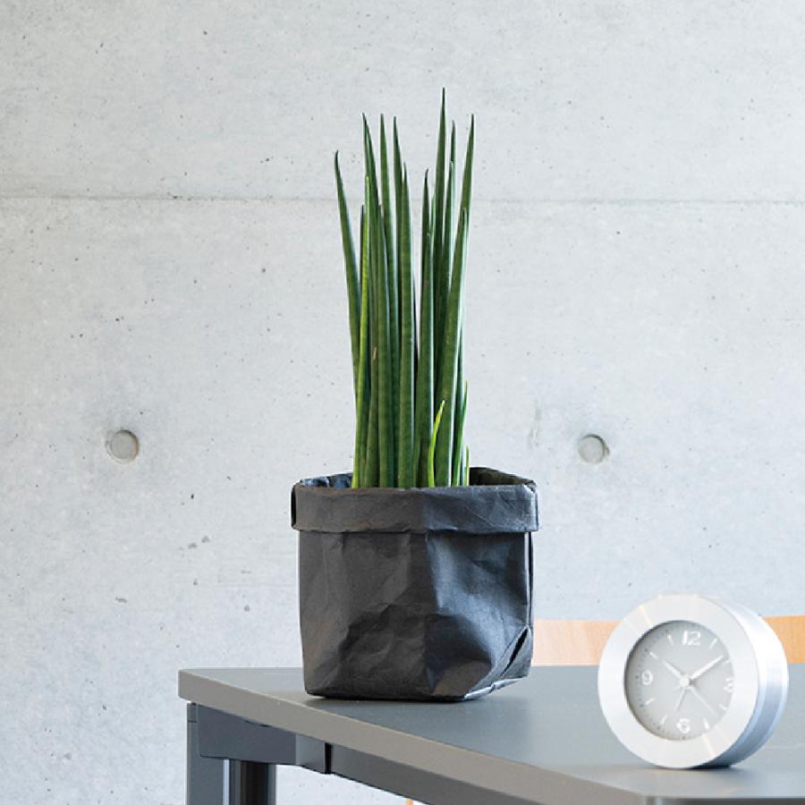 ペーパーポットカバー 4 園芸 鉢 カバー ガーデニング 収納 おしゃれ 育成ポット 室内 クラフト紙 リッチェル Richell 公式 | リッチェル | 09