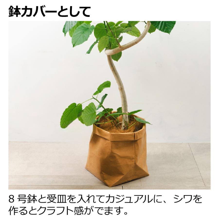 ペーパーポットカバー 8 園芸 鉢 カバー ガーデニング 収納 おしゃれ 育成ポット 室内 クラフト紙 リッチェル Richell 公式 | リッチェル | 07