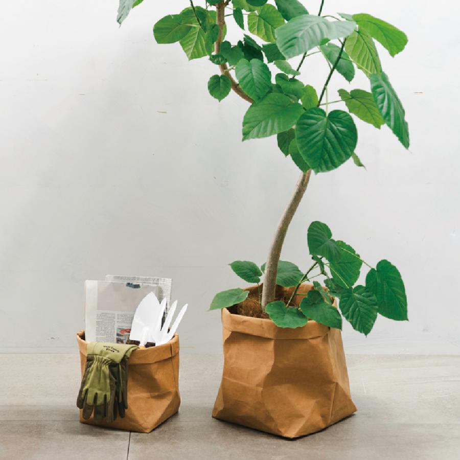 ペーパーポットカバー 8 園芸 鉢 カバー ガーデニング 収納 おしゃれ 育成ポット 室内 クラフト紙 リッチェル Richell 公式 | リッチェル | 06