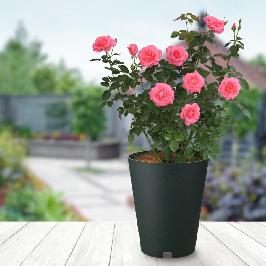 ロザリアンポット 24型 園芸 ガーデン 植木 鉢 深鉢 バラ鉢 プランター おしゃれ 室内 スリット プラスチック リッチェル  公式 | リッチェル | 06