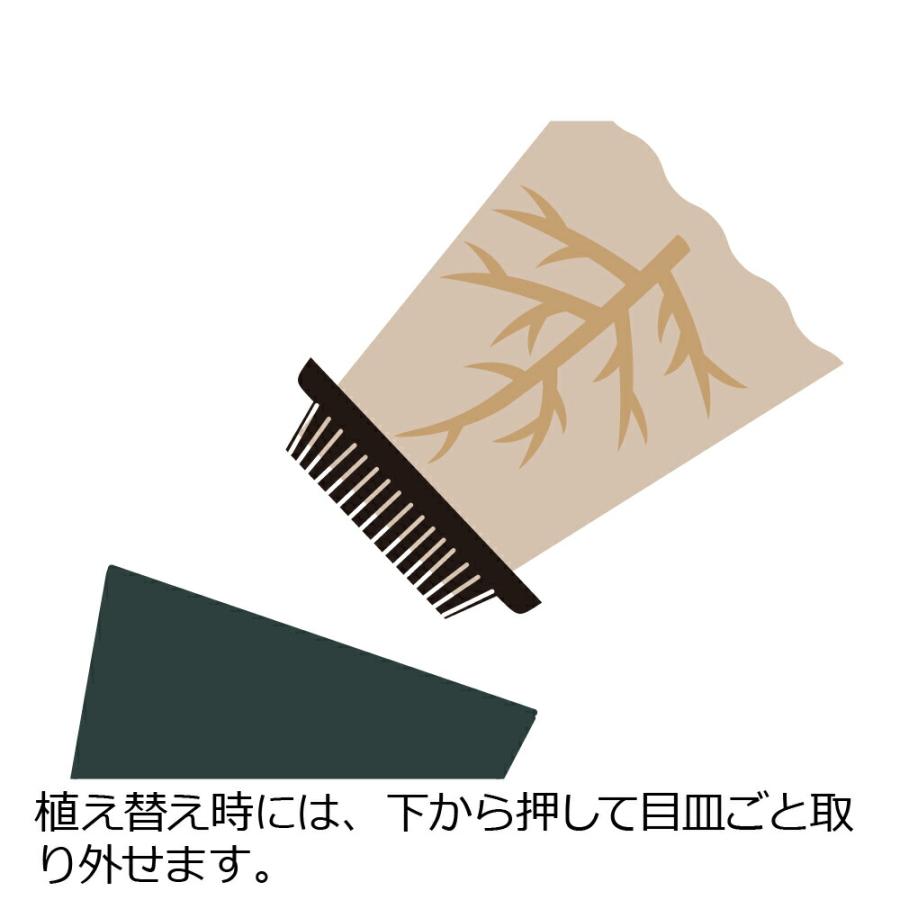 植木鉢 おしゃれ ロザリアンポット 30型 ガーデ ン ニング  園芸 家庭 菜園 深 バラ プランター 室内 | リッチェル | 08