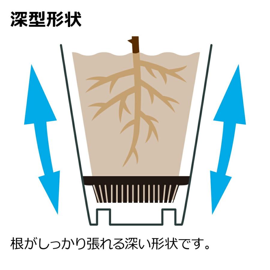 ロザリアンポット 36型 園芸 ガーデン 植木 鉢 深 バラ プランター おしゃれ 室内 スリット ロング プラスチック リッチェル  公式 | リッチェル | 09