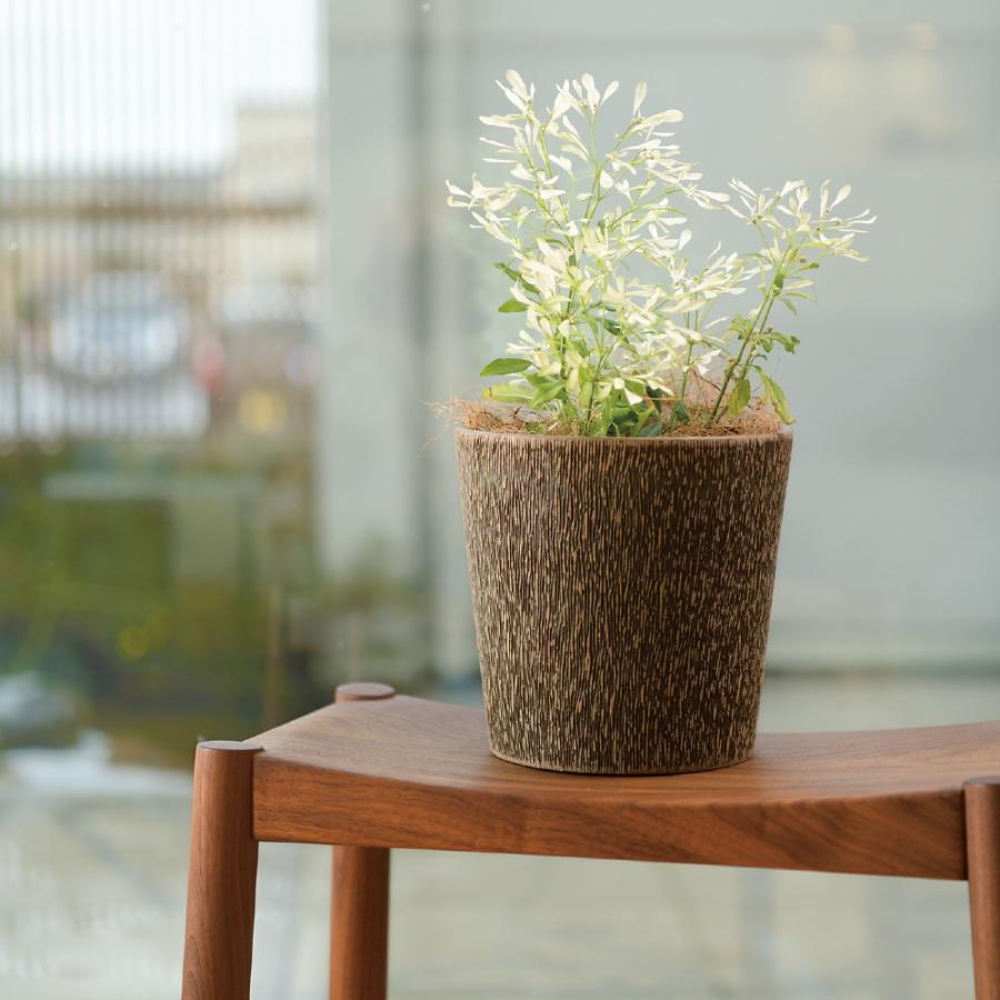 ボタニー バークポットカバー 18型 園芸 ガーデン ガーデニング 植木 鉢 おしゃれ プラスチック リッチェル Richell 公式ショップ | リッチェル | 09