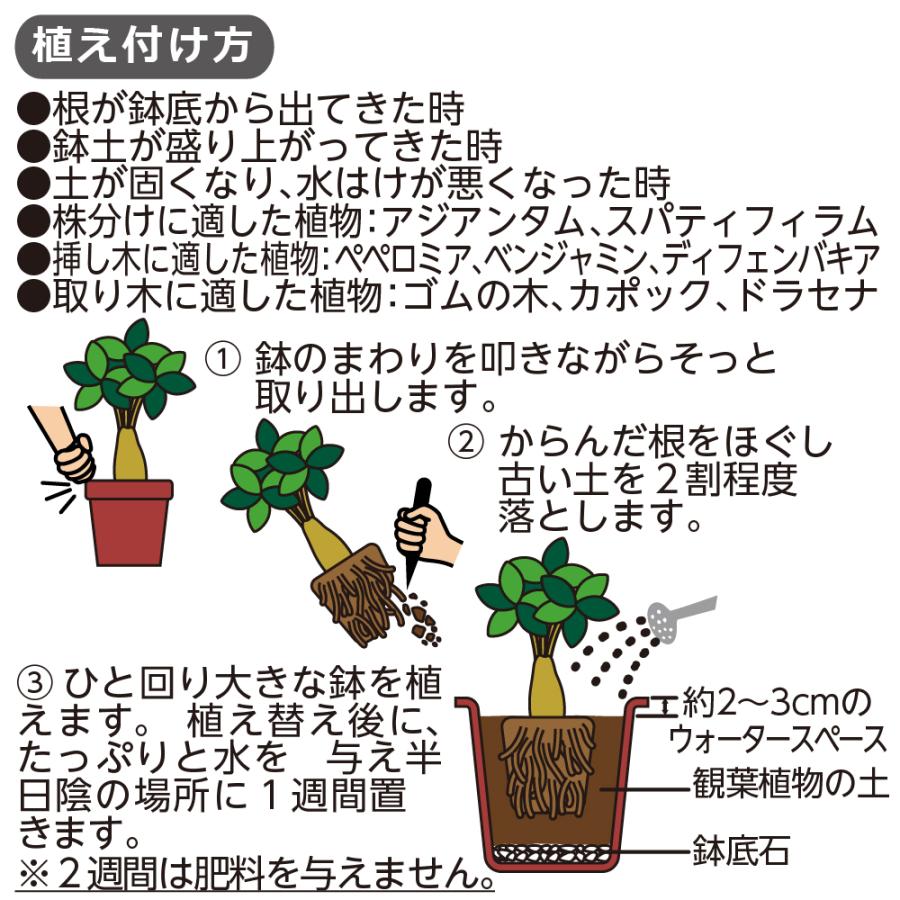 片山園芸土付きM25キロ 園芸支柱 16mm ×2100mm 50本 セット シンセイ : ネットで建材