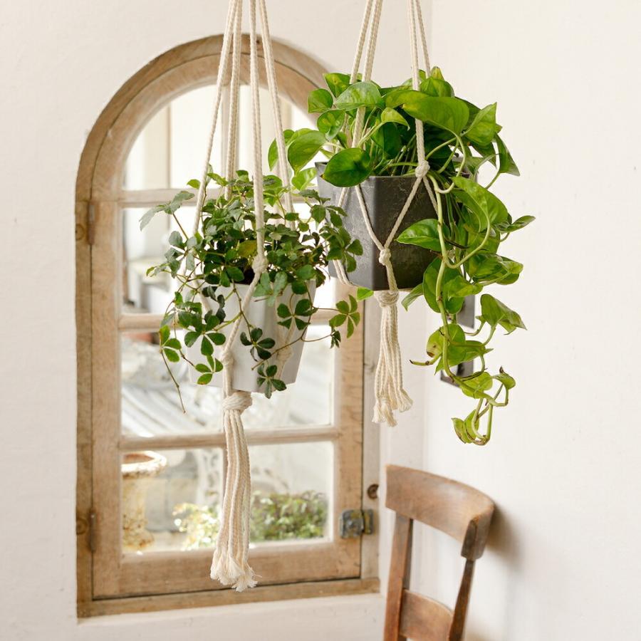 ボタニー ハンギングキューブ 12型 園芸 ガーデン 植木 鉢 壁掛け 吊り プランター プラスチックリッチェル Richell 公式ショップ | リッチェル | 05