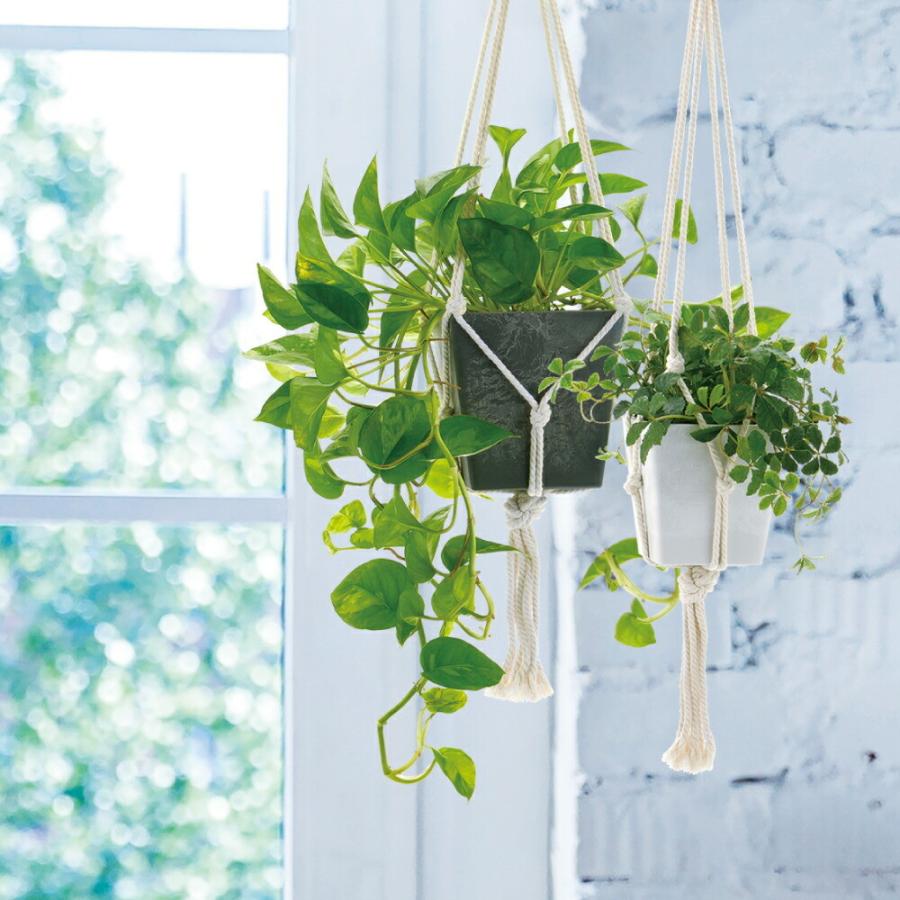 ボタニー ハンギングキューブ 12型 園芸 ガーデン 植木 鉢 壁掛け 吊り プランター プラスチックリッチェル Richell 公式ショップ | リッチェル | 06